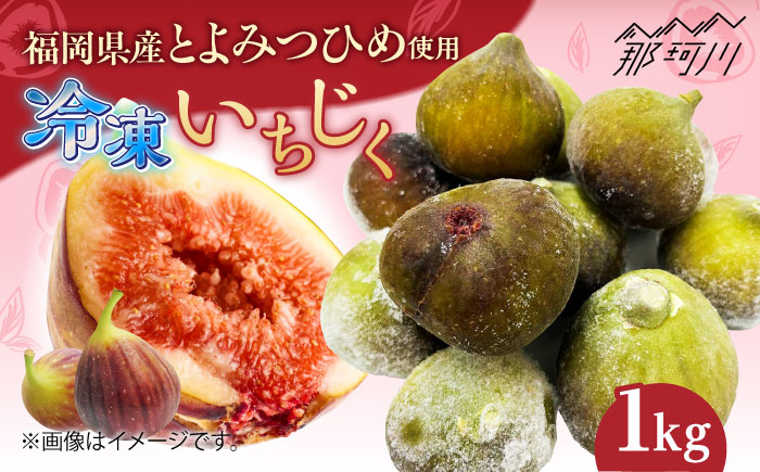 福岡県産「博多とよみつひめ」冷凍いちじく！合計1kg（500g×2袋）＜株式会社natural factory＞那珂川市 とよみつひめ [GEA080]