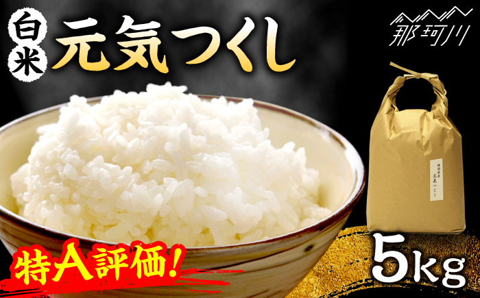 特A評価! 元気つくし【白米】 5kg＜株式会社ベネフィス＞那珂川市 [GED055]