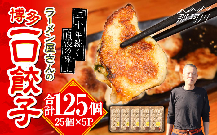 冷凍 博多一口餃子 25個入り×5パック＜麺専科げんき＞那珂川市 [GEG002]
