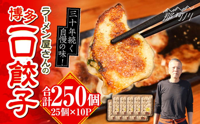 冷凍 博多一口餃子 25個入り×10パック＜麺専科げんき＞那珂川市 [GEG003]