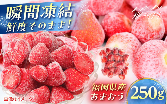 福岡県産 冷凍あまおう250g(250g×1個) ＜木村食品＞ 那珂川市 [GFR033]