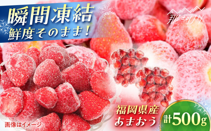 福岡県産 冷凍あまおう500g(250g×2個) ＜木村食品＞ 那珂川市 [GFR034]