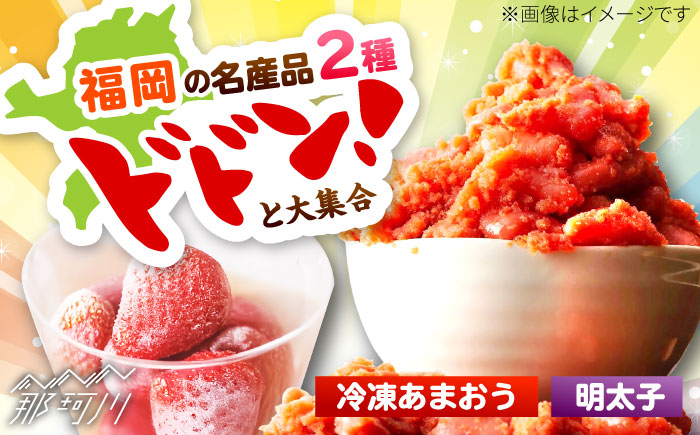 辛子明太子無着色(切子)500gと福岡県産冷凍あまおう500g(250g×2)訳あり ＜木村食品＞ 那珂川市 [GFR039]