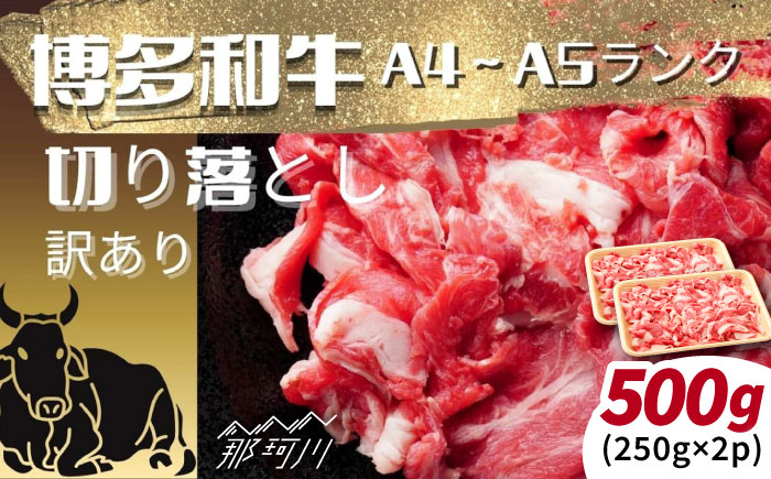 【訳あり】【A4～A5ランク】博多和牛 切り落とし 500ｇ（250g×2個） [GFR052]