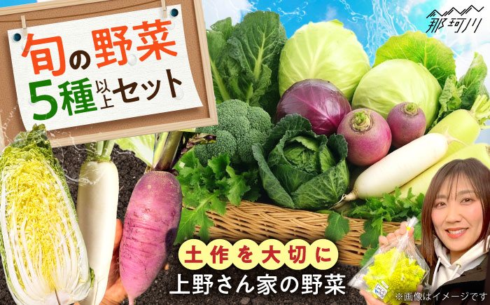 旬の野菜セット 5種類以上＜上野さん家の野菜＞那珂川市 [GGD001]