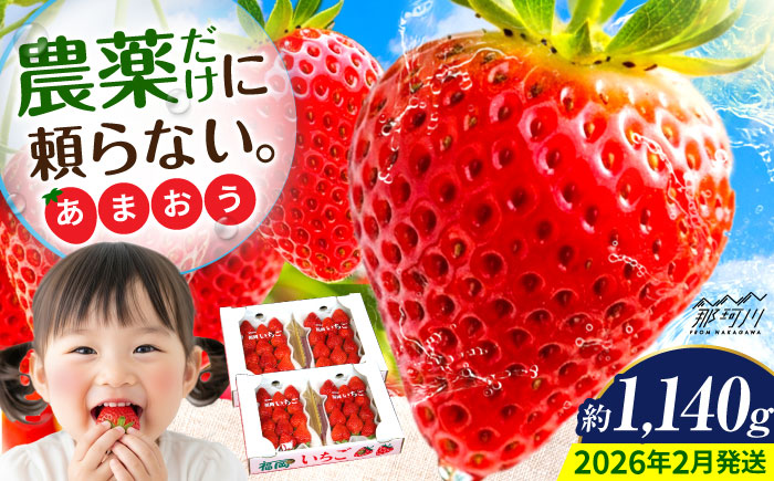 【2026年2月より発送】先行予約！『自然環境農法』で育てた福岡県産 あまおう 約285g×4パック＜おおきべりー株式会社＞那珂川市 フルーツ いちご あまおう [GZE002]