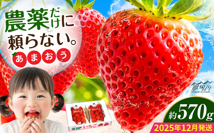 【2025年12月より発送】『自然環境農法』で育てた福岡県産 あまおう 約285g×2パック＜おおきベリー株式会社＞那珂川市 [GZE007]