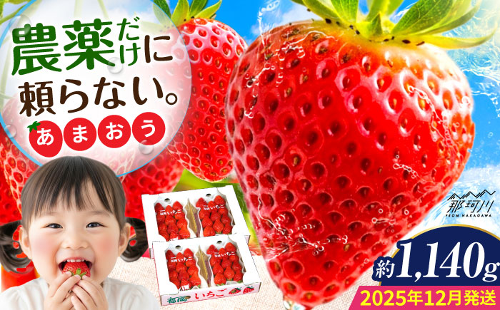 【2025年12月より発送】『自然環境農法』で育てた福岡県産 あまおう 約285g×4パック＜おおきべりー株式会社＞那珂川市 [GZE008]