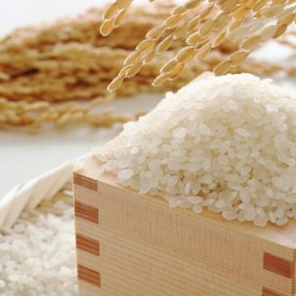 【宇美】定期便 果物屋さんが選んだ米「元気つくし」5kg全6回