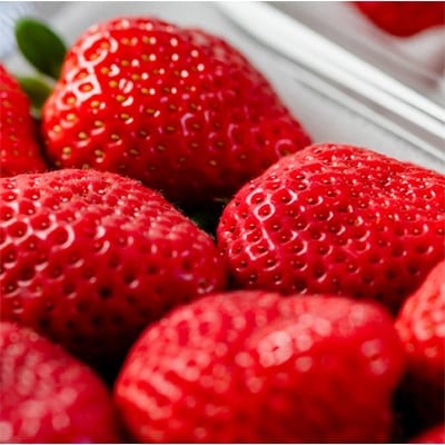 【11月下旬より順次発送】【宇美】博多うまいもん「あまおう」＆「博多ラーメン」(自宅用)【配送不可地域：離島】