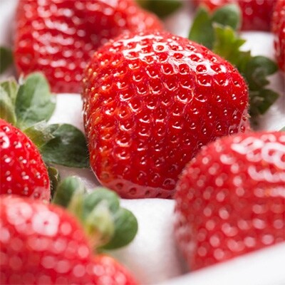 【11月下旬より順次発送】【宇美】博多うまいもん「あまおう」＆「博多ラーメン」(ギフト箱)【配送不可地域：離島】