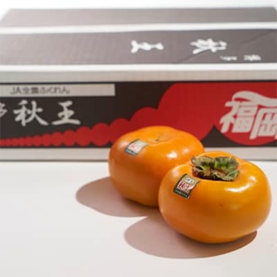 【宇美】秋王(あきおう)1.5kg箱(4-6玉)【配送不可地域：離島】