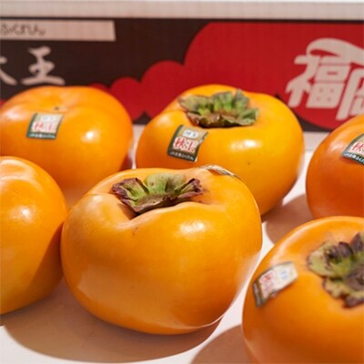 【宇美】秋王(あきおう)3.5kg箱(8-12玉)【配送不可地域：離島】