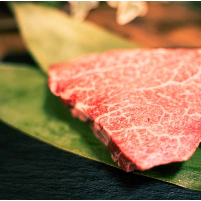 福岡県産 黒毛和牛 博多和牛 ヒレステーキ600g【配送不可地域：離島】