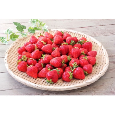 博多あまおう250g×4パック(宇美町)【配送不可地域：離島】