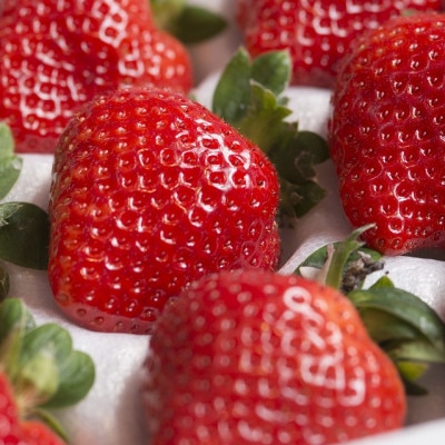 上級クラスの福岡産あまおう苺　EX(エクセレント)9-12粒(宇美町)【配送不可地域：離島】