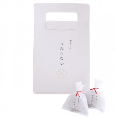 うみもなか　8個入り