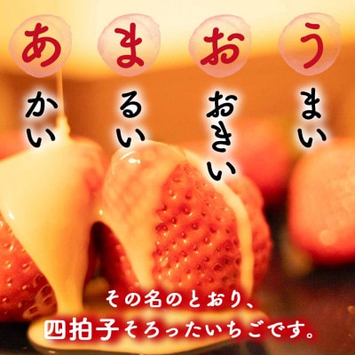 2024年1月より順次発送　福岡県産 あまおうDX以上 500g(2パック)(宇美町)【配送不可地域：離島】