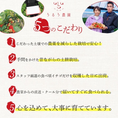 【先行受付】あまおう農家さんがつくる!!あまおう大福(冷凍)95g×6個(宇美町)【配送不可地域：離島】