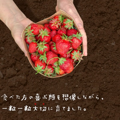 【先行受付】あまおうスタンダード2パック　570g(宇美町)【配送不可地域：離島】