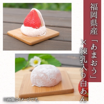 【先行受付】あまおう大福セット(冷蔵)(宇美町)【配送不可地域：離島】