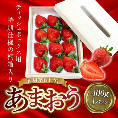 ティッシュボックス用特別仕様の桐箱入りプレミアムあまおうEX400g×1パック(宇美町)【配送不可地域：離島】
