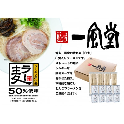 「一風堂」白丸 ラー麦麺セット 合計8食分セット(宇美町)