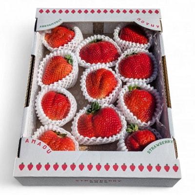 選ばれし一粒・特撰プレミアムあまおう 約600g(宇美町)【配送不可地域：離島】