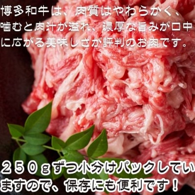 【訳あり】【A4～A5ランク】博多和牛 切り落とし1kg(250g×4個)(宇美町)【配送不可地域：離島】