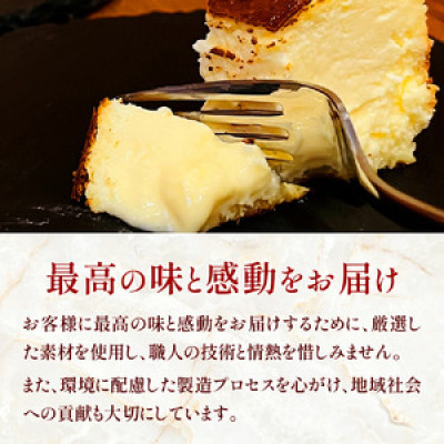 めちゃ濃厚!バスクチーズケーキ(5号サイズ)【配送不可地域：離島】