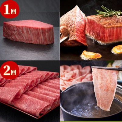 【毎月定期便】【博多和牛】博多和牛ヒレからロースまで!人気部位を味わう豪華定期便(宇美町)全6回【配送不可地域：離島】