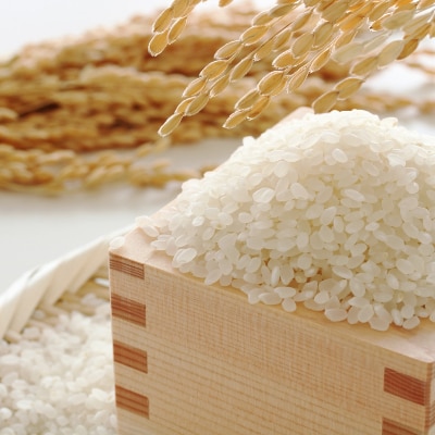 2021年7月発送開始『定期便』果物屋さんが選んだ米(夢つくし)5kg全6回