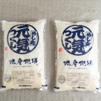 【宇美】果物屋さんが選んだ米「元気つくし」10kg