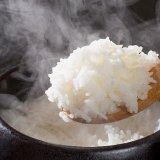 【宇美】定期便 果物屋さんが選んだ米「元気つくし」10kg全6回