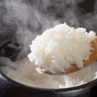 【宇美】定期便 果物屋さんが選んだ米「夢つくし」10kg全6回