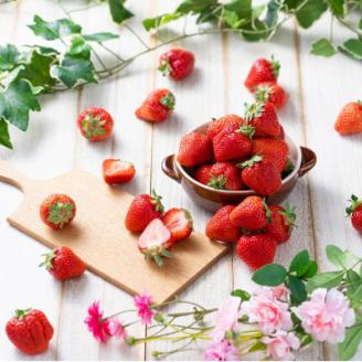 【2026年発送先行受付】【宇美】フルーツ専門店が選んだ「あまおう苺」春4パック【配送不可地域：離島】