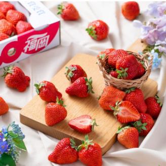 【11月下旬より順次発送】【宇美】フルーツ専門店が選んだ「あまおう苺」冬2パック【配送不可地域：離島】