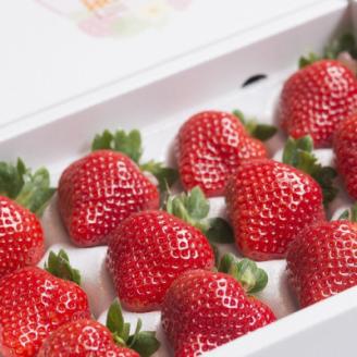 【11月下旬より順次発送】【宇美】フルーツ専門店が選んだ「あまおう苺」ギフト箱(12-15粒)【配送不可地域：離島】