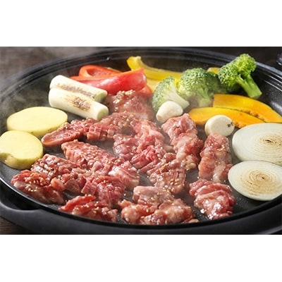 味付牛焼肉セット約2.7kg【配送不可地域：離島】