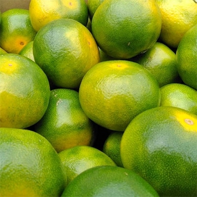 【宇美】福岡限定!オリジナルブランドみかん「早味かん」約4kg【配送不可地域：離島】