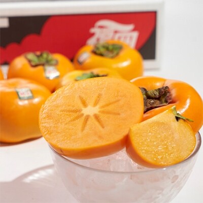 【宇美】秋王(あきおう)3.5kg箱(8-12玉)【配送不可地域：離島】