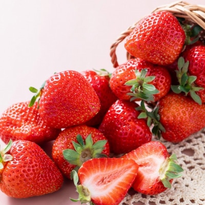 【2026年発送先行受付】春にお届け!丁度いい!福岡産はるあまおう3パック(宇美町)【配送不可地域：離島】