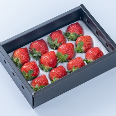 上級クラスの福岡産あまおう苺　EX(エクセレント)9-12粒(宇美町)【配送不可地域：離島】