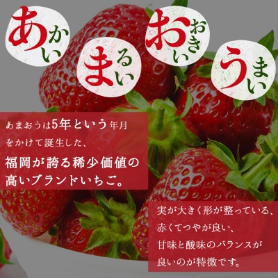 福岡県産あまおう使用!!あまおうチーズケーキ(宇美町)【配送不可地域：離島】
