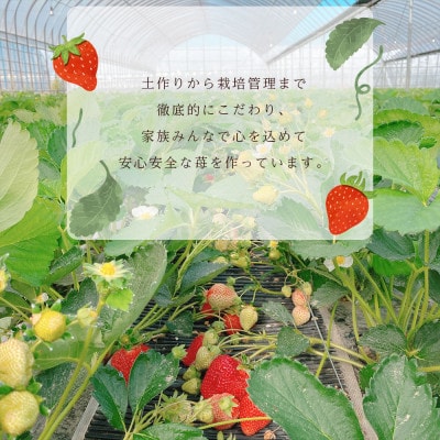 【先行受付】あまおう農家さんがつくる!!あまおう大福(冷凍)95g×6個(宇美町)【配送不可地域：離島】