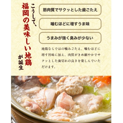 福岡限定!はかた地どり美人水炊き5種セット　2～3人前(宇美町)【配送不可地域：離島】