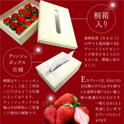 ティッシュボックス用特別仕様の桐箱入りプレミアムあまおうEX400g×1パック(宇美町)【配送不可地域：離島】