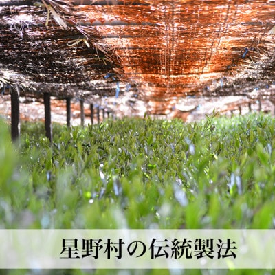 2025年産【八女茶】星野村の抹茶 こまかげ 薄茶用 20g(宇美町)【配送不可地域：離島】