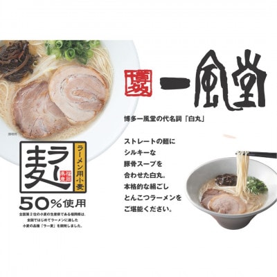 【訳あり】「一風堂」白丸 ラー麦麺セット バラ6食分(宇美町)