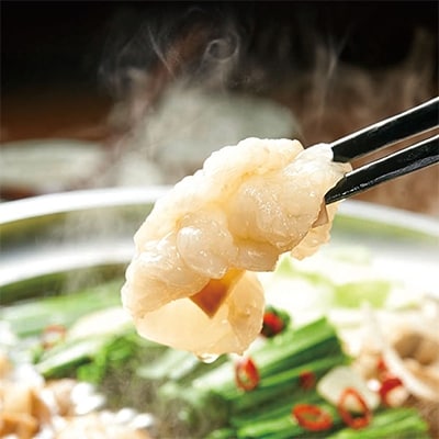 2022年3月発送開始『定期便』やまや　博多もつ鍋　あごだし醤油味　1-2人前　全3回【配送不可地域：離島】